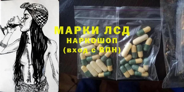 индика Бугульма