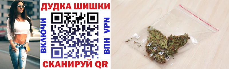 Канабис сатива  Владимир 